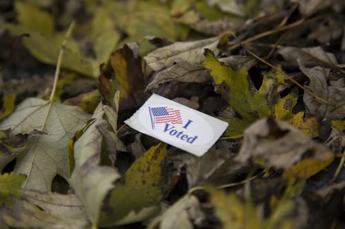 Election Material Language Access for the APPI Population in Champaign County