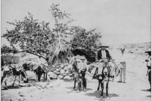 Antique photograph of World's famous sites: Mexican pack train, City of Mexico