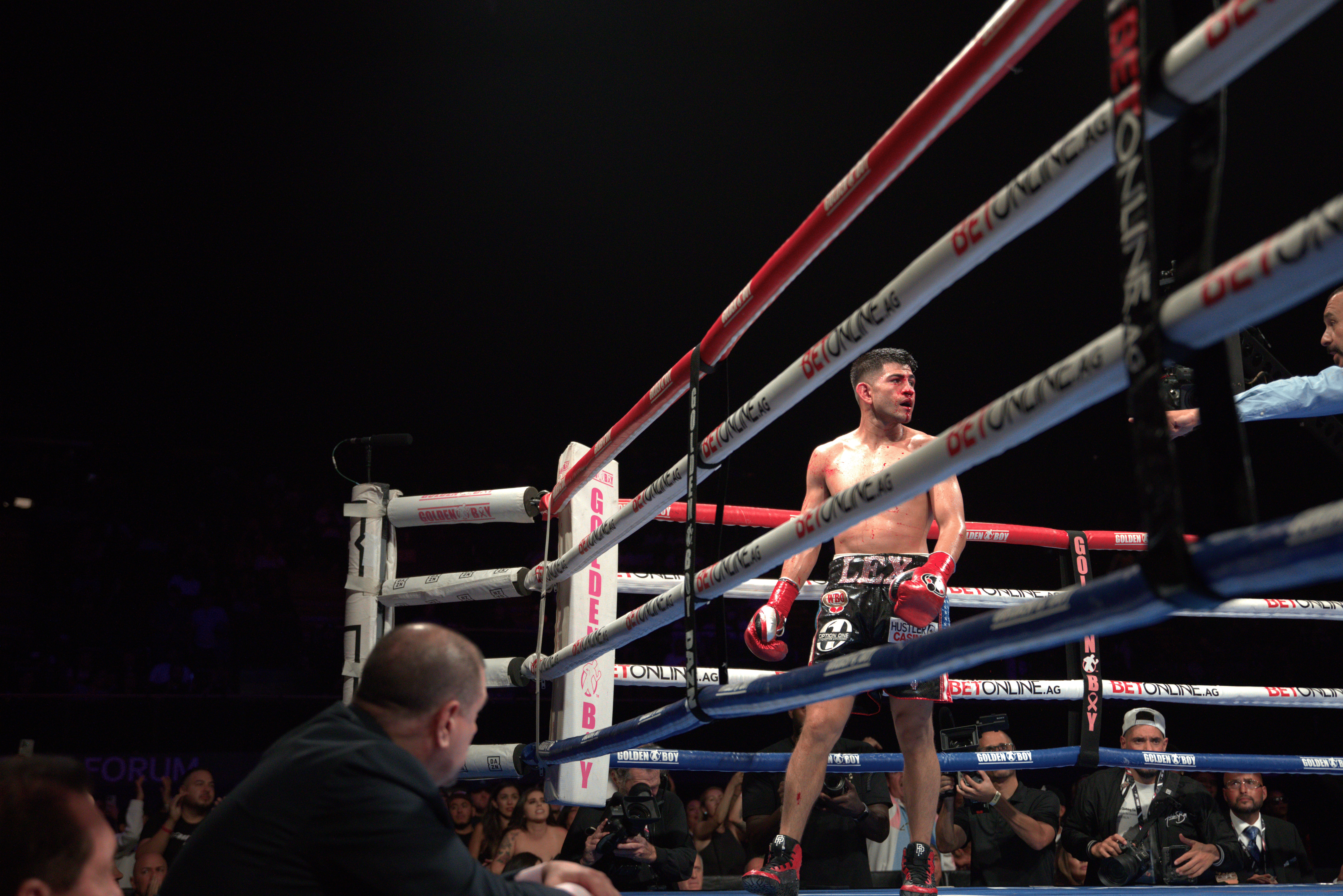 Down But Not Out: Labor Struggles for Professional Boxers in California’s Ring