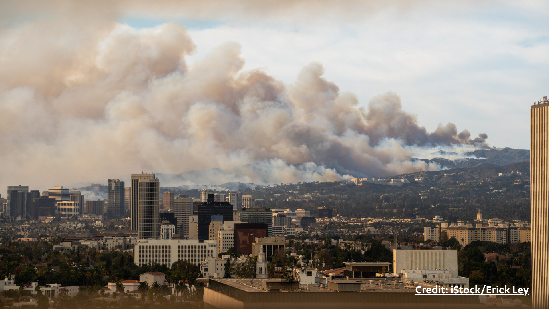 The Impacts of Los Angeles Wildfires on Small Businesses